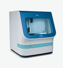 Sanger Sequencing ABI 3500 Dx Genetic Analyzer