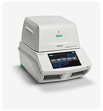 Quantitative PCR BioRad CFX96