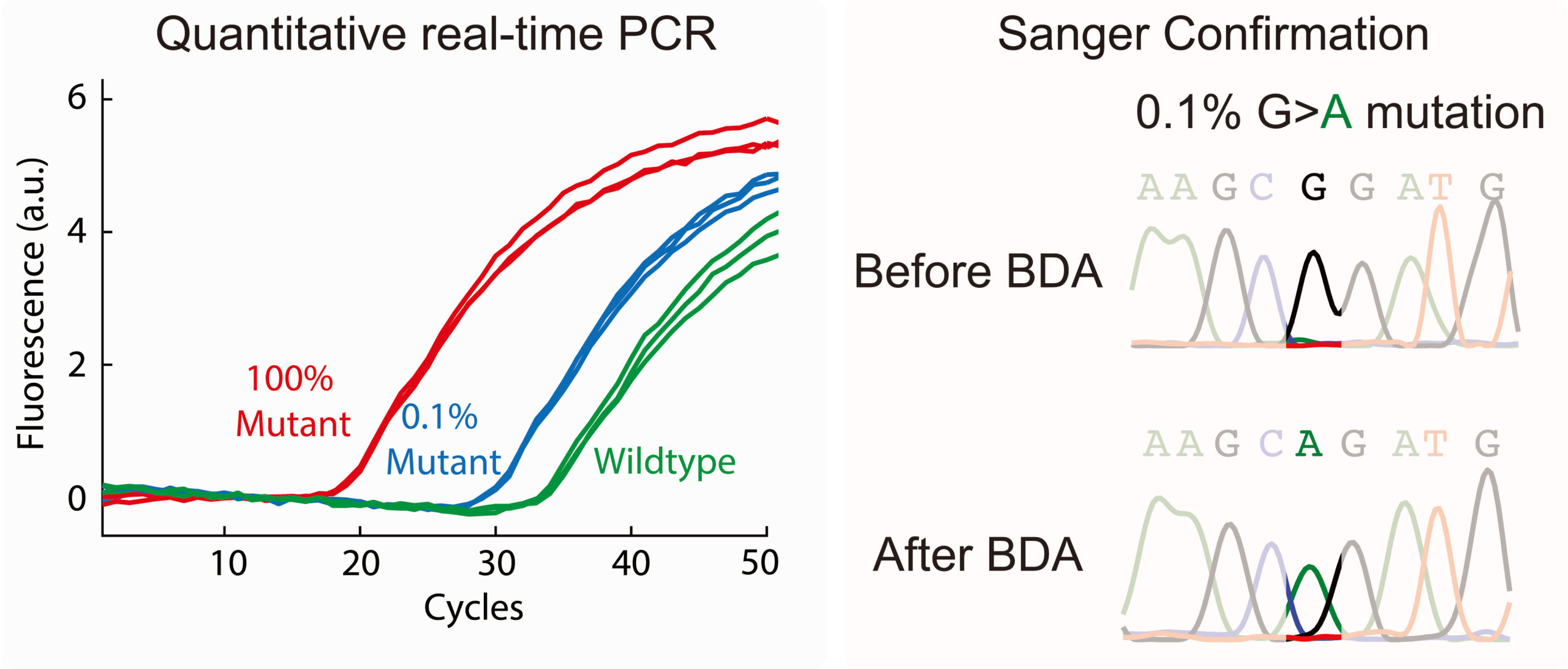 Mutation Testing